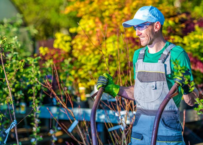 Thomas and son landscaping LLC, family owned landscaping based in south jersey