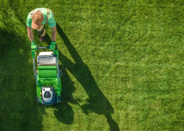 Thomas and son landscaping LLC, family owned landscaping serving camden county and cumberland county