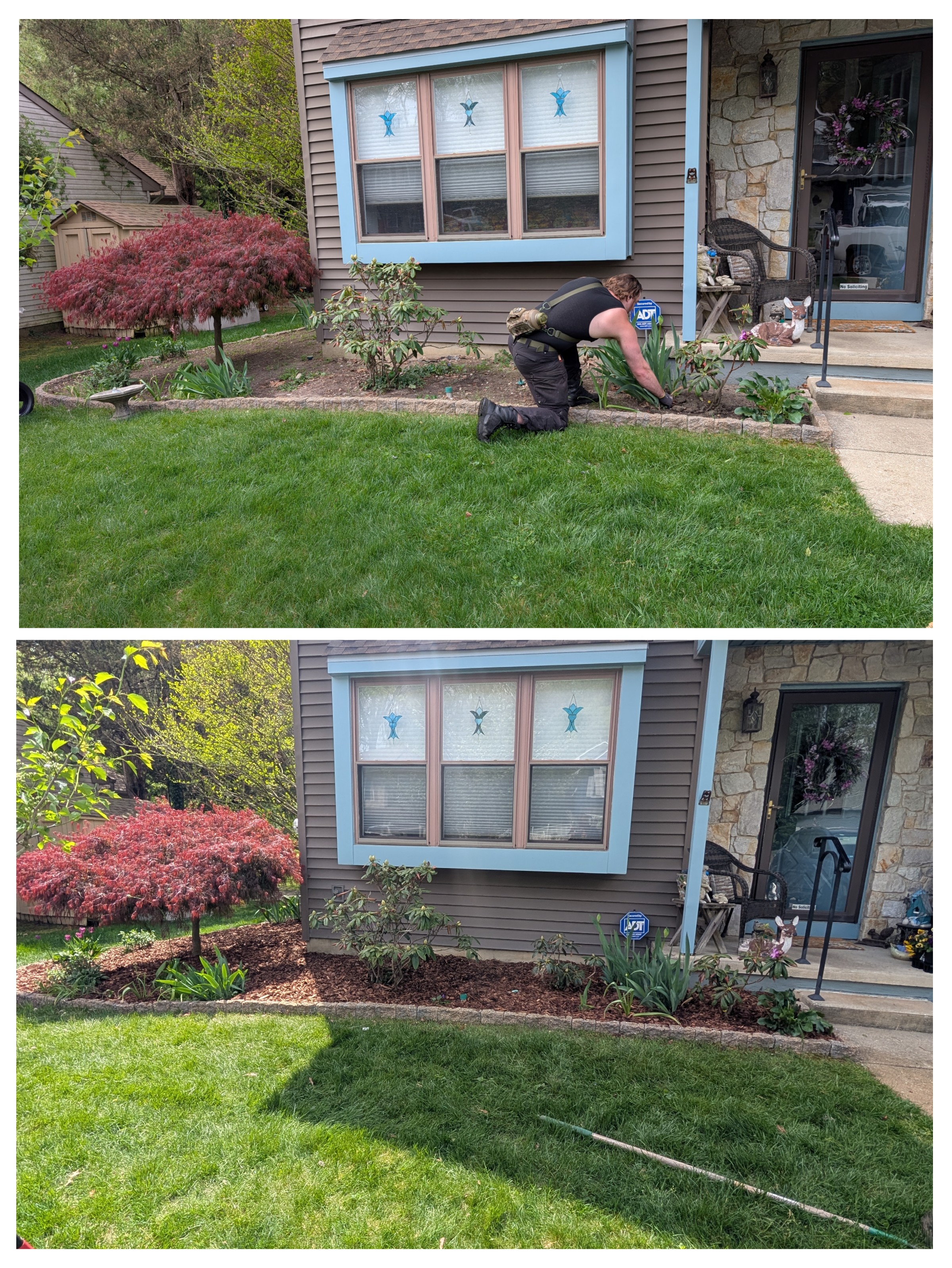 Landscaping on a lawn in Haddon Heights NJ by Thomas and Son LLC