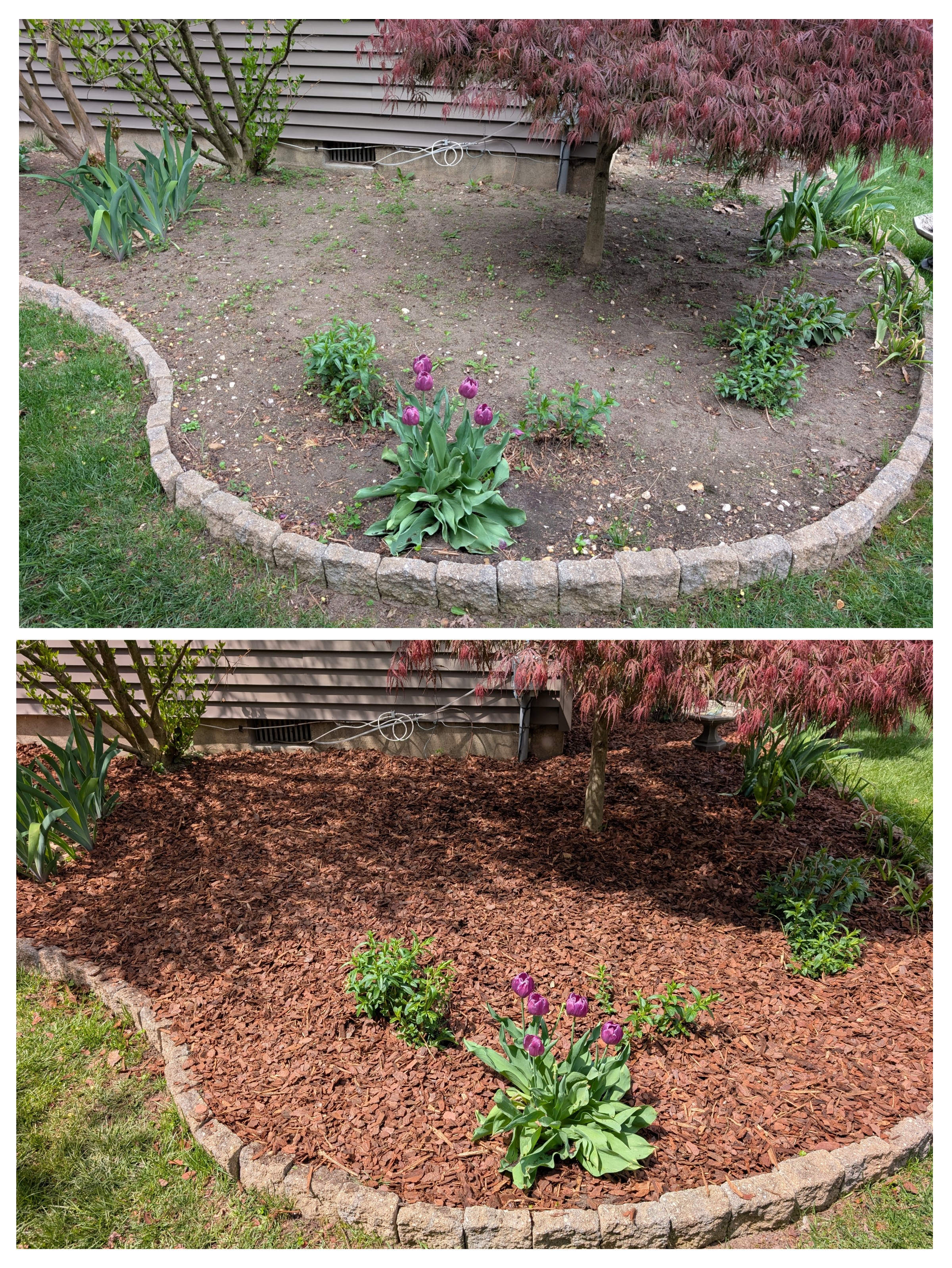 Mulching an Oaklyn garden bed by Thomas and Son LLC
