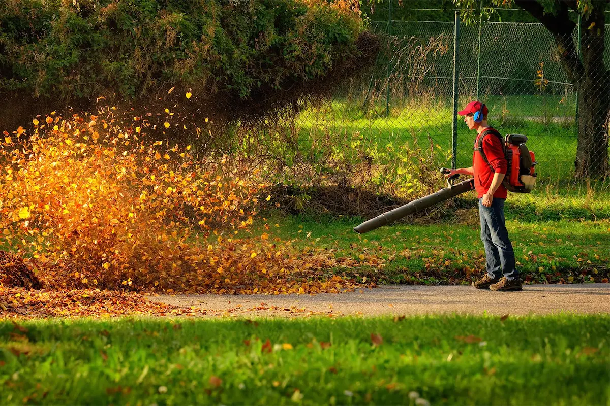 Leaf removal