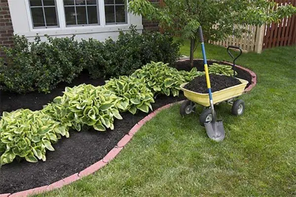 Mulch installation